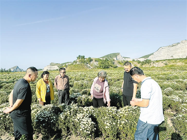 4001百老汇会员登录