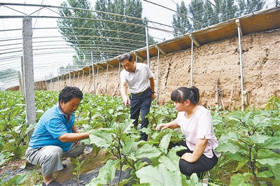 4001百老汇会员登录