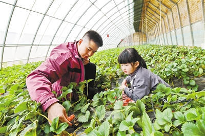 4001百老汇会员登录